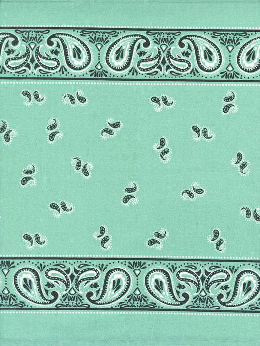 Towelilng 5920-303 Aqua