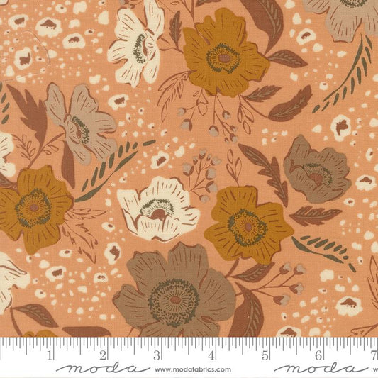 Wellspring 545670 14 Coral Seashell