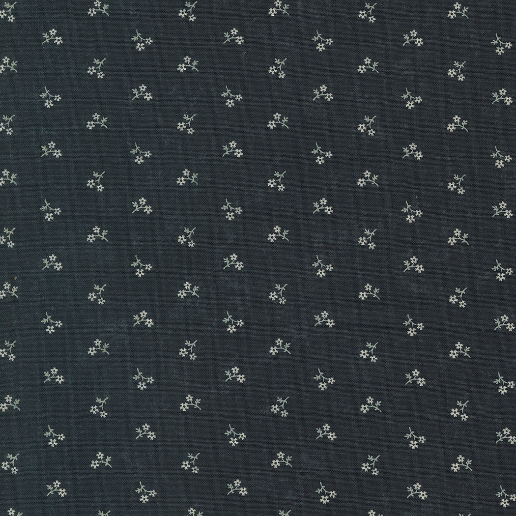 Blackbirds Nest 59755-19