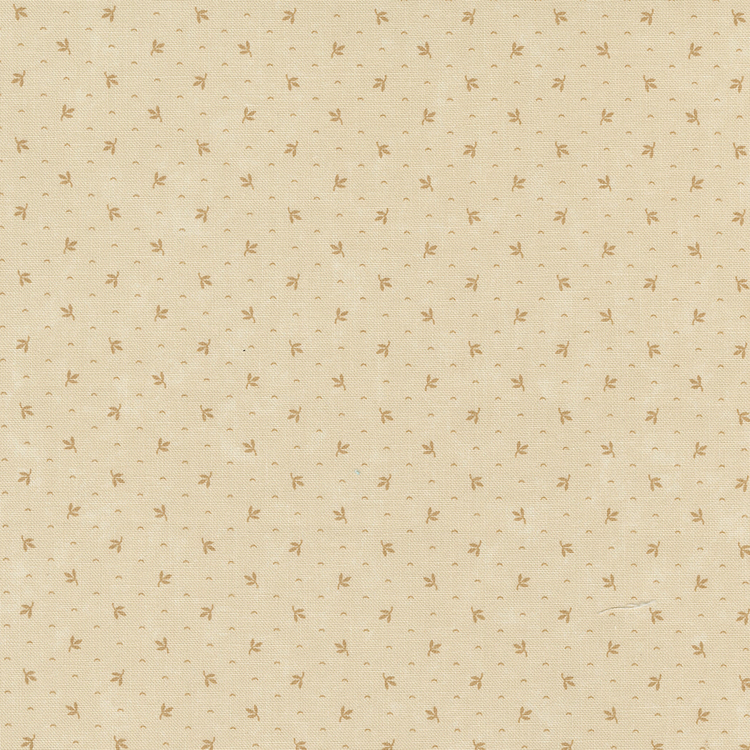 KT Favorite Backgrounds 59772-11