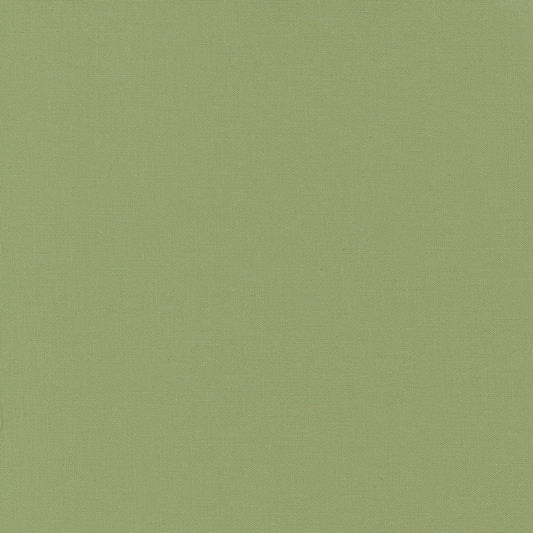 Bella Solids 1000-172 Circa Celadon