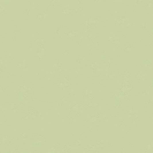 Bella Solids 1000-457 Pear