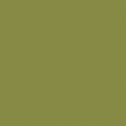 Bella Solids 1000-458 Lichen
