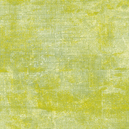 Chalk and Charcoal AJS 17513-38 Chartreuse