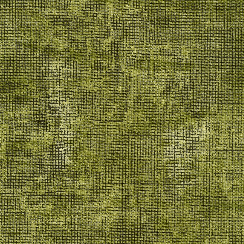 Chalk and Charcoal AJS 17513-49 Olive