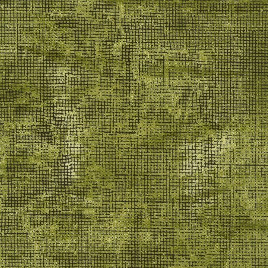 Chalk and Charcoal AJS 17513-49 Olive
