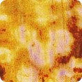 Industrial Imprints Curry ANJD 22866 291