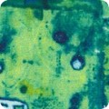 Industrial Imprints Pond ANJD 22867 56