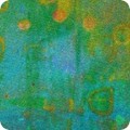 Industrial Imprints Moss ANJD 22868 45