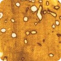 Industrial Imprints Curry ANJD 22869 291