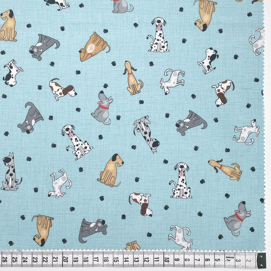 Canines and Felines Blue Dogs