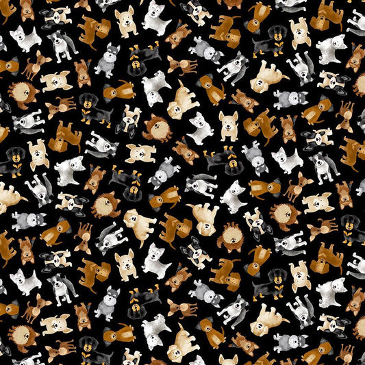 Small Dogs DOG CD3318
