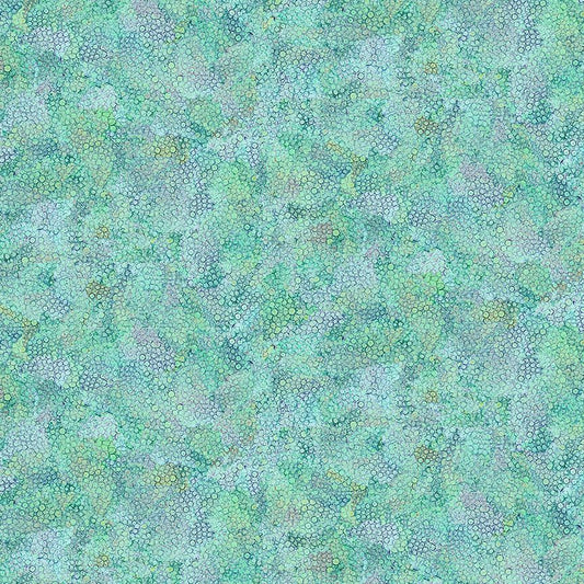 Packed dot Cd3212 Aqua