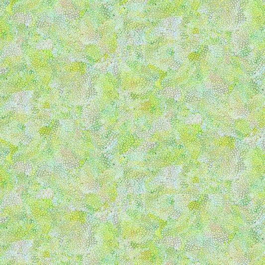 Dragonfly Illusion Packed Dots CD3212 Green