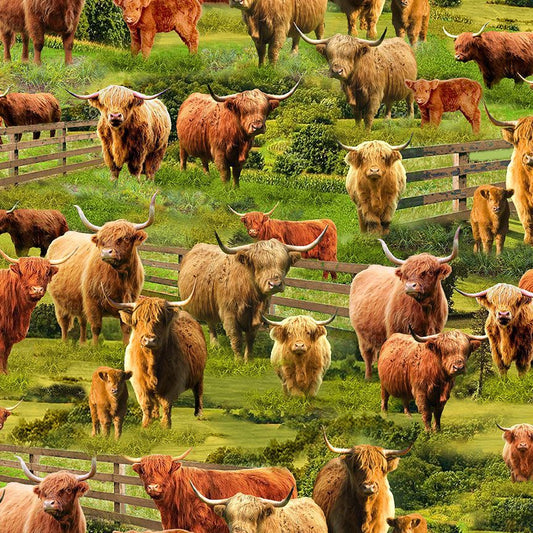 1 Meter Cut Highland Cows Farm Cd3076