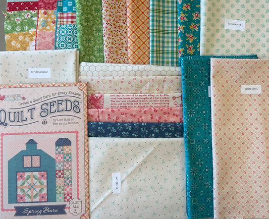 Quilt Seeds Summer Barn Quilt Kit