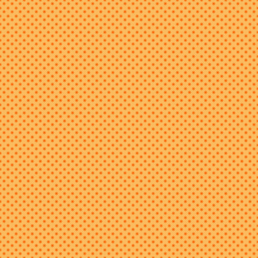 Meadow Star 4104-13 Cantaloupe