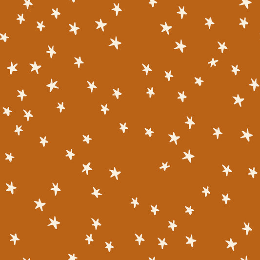 Starry 54109-51