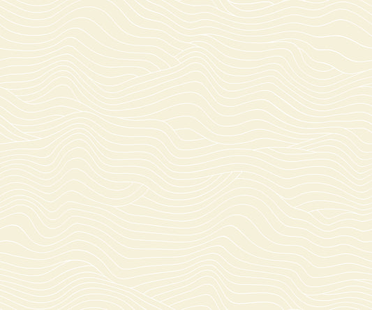Water 55129-11
