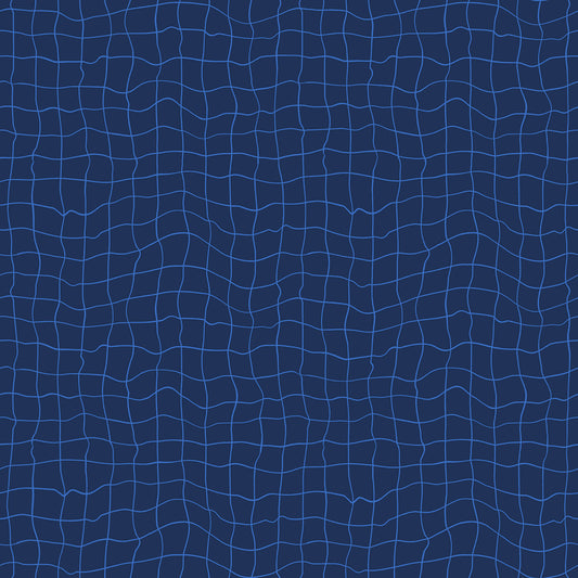 Water 55131-17