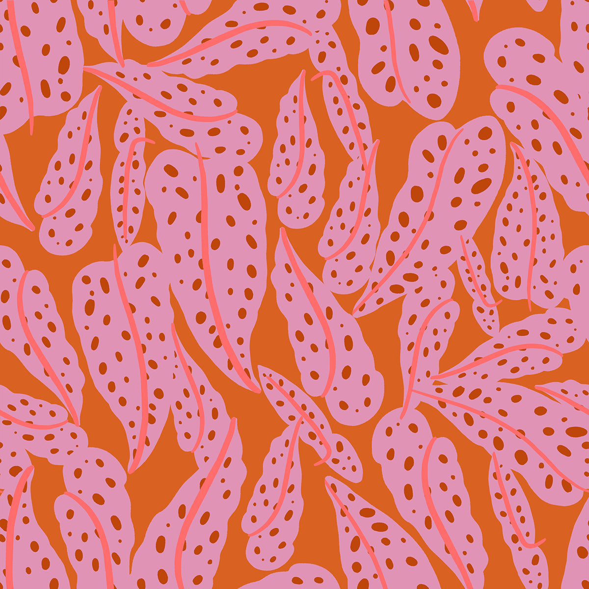 Calathea RS5187 11 Pecan