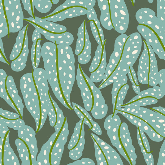 Calathea RS5187 13 Seaweed