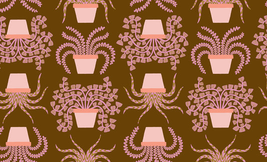 Calathea RS5182 12 Cocoa