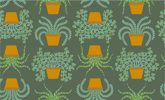 Calathea RS5182 13 Seaweed