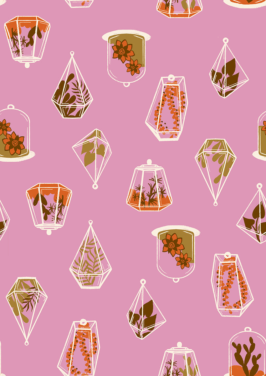 Calathea RS5183 12 Kiss