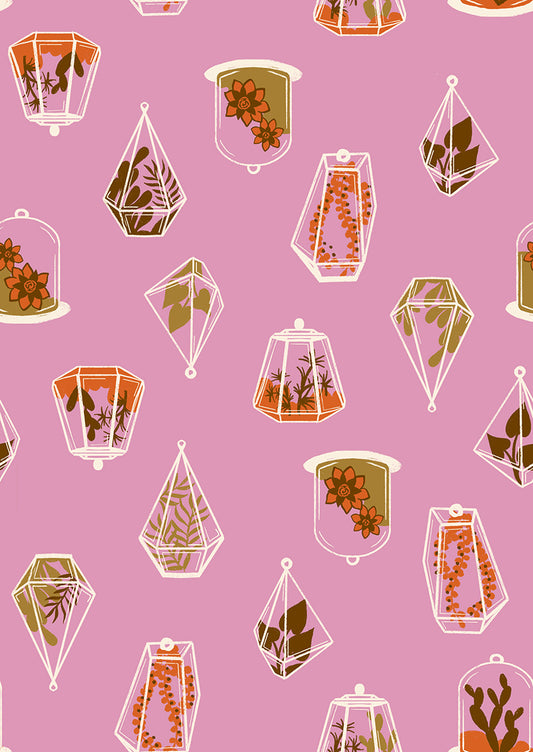 Calathea RS5183 12 Kiss