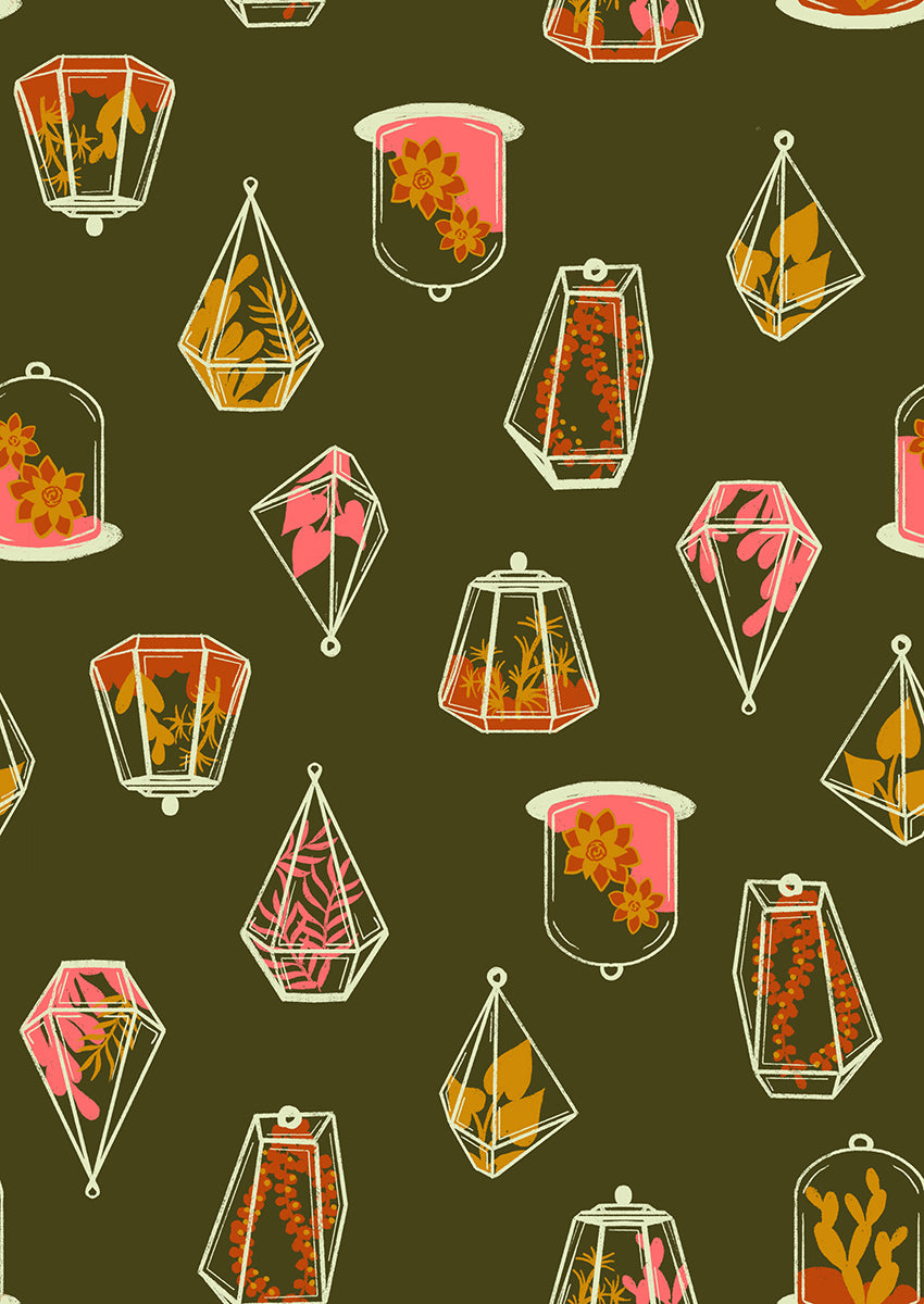 Calathea RS5183 15 Mossy