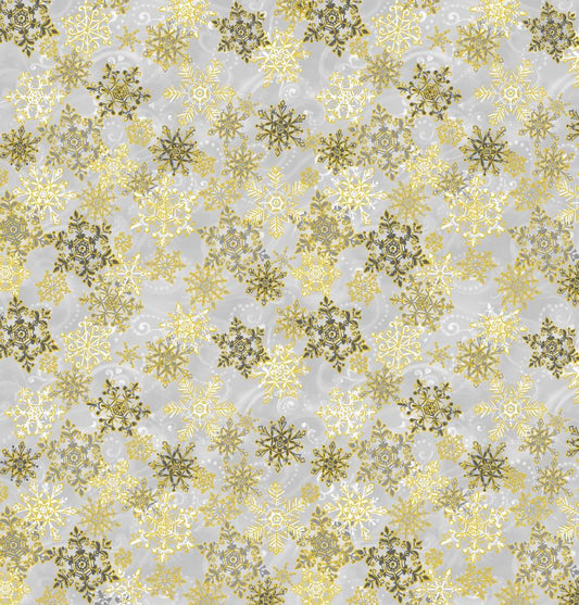 Snow - CM1390 silver
