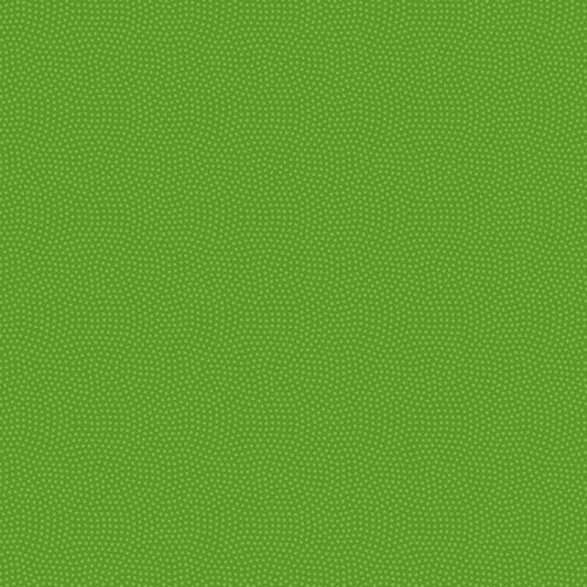 Spin CD5300 Parakeet