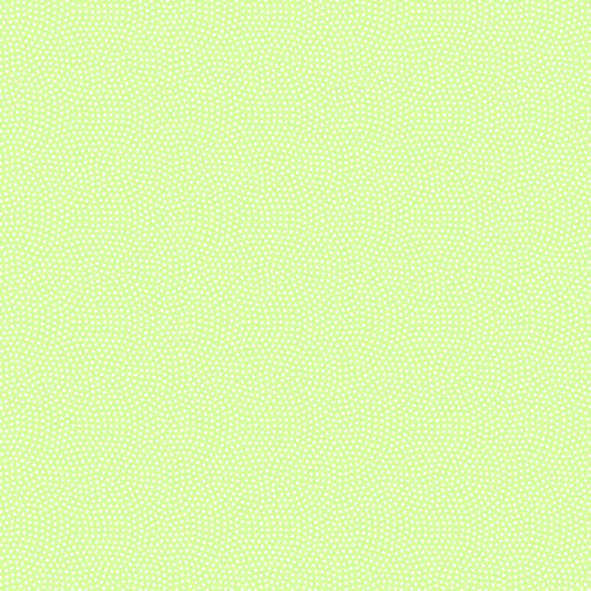 Spin CD5300 Pistachio