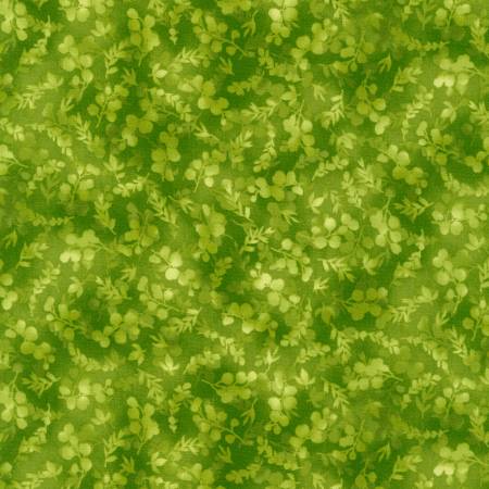 Fusions  EYJ 21320-58 Cactus