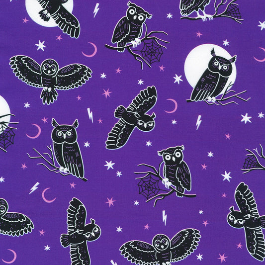 Lights Out SRKDO 23741 460 Midnight Purple