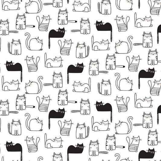 1 Meter Cut Black and White Cat CD2571