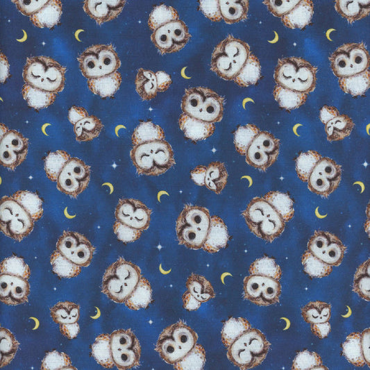 Owl Always Love You CD3296 Night