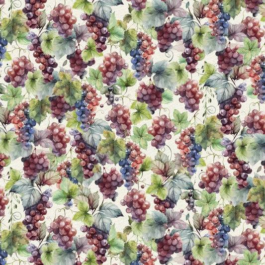Wine Tasting Wine Grape Vines CD4175