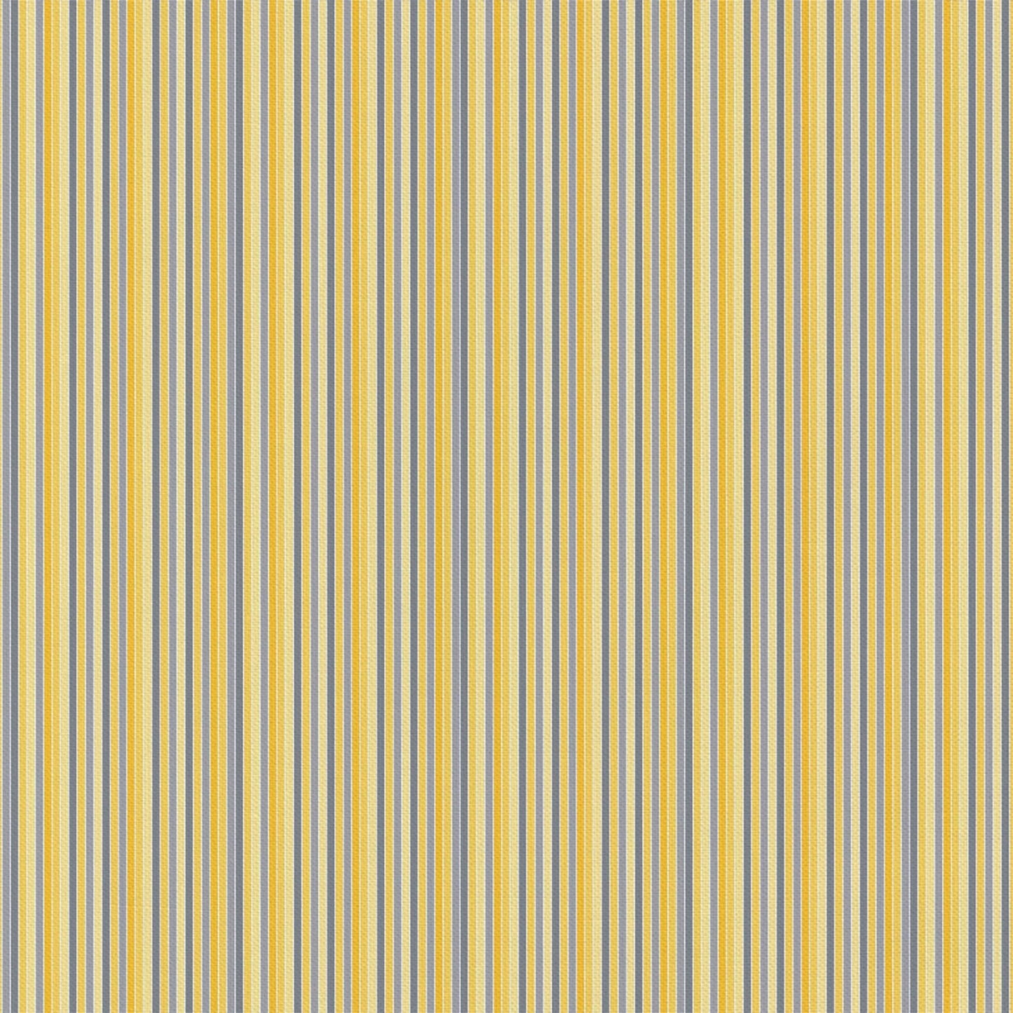 YM Stripe Mul 4140407WM01