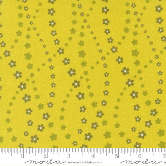 1 Meter Cut Flower Power 533716