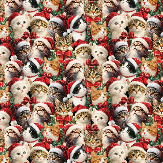 Merry Cats 16773 99