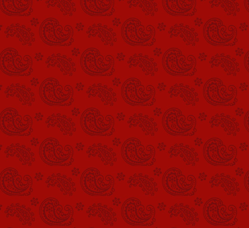 Paisley 1817-39085-333